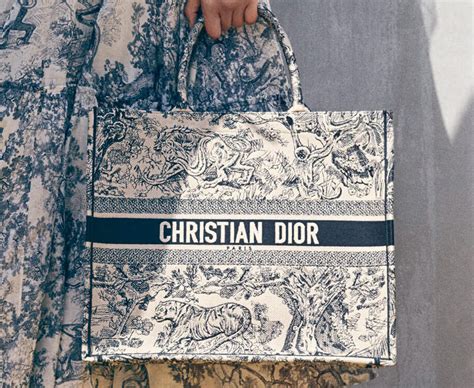 Dior Cruise 2019 Bag Collection Featuring The Diorodeo Bag